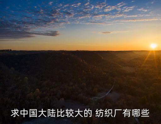 求中國大陸比較大的 紡織廠有哪些