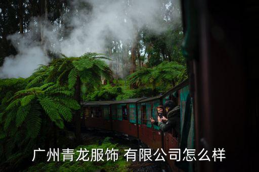 廣州青龍服飾 有限公司怎么樣