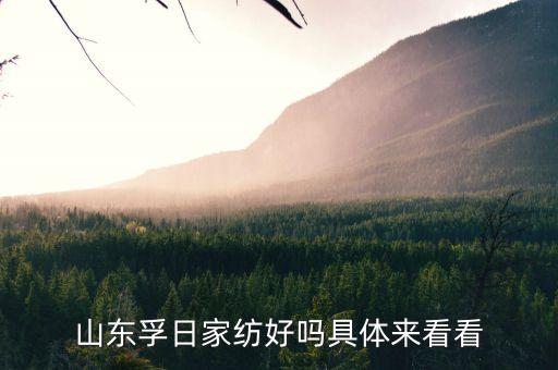 山東孚日家紡好嗎具體來看看