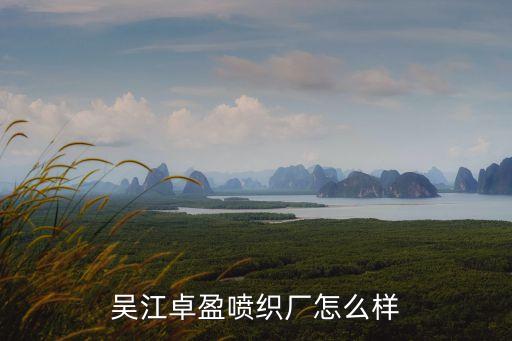 吳江卓盈噴織廠怎么樣
