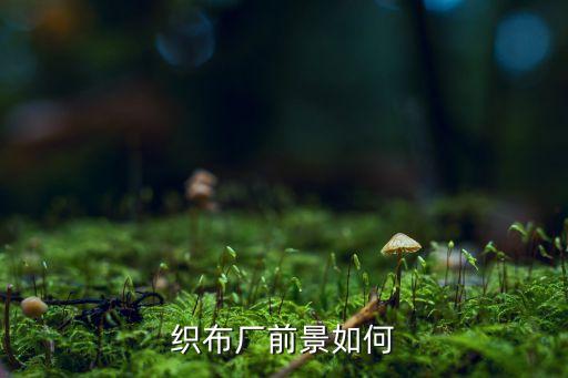 織布廠前景如何