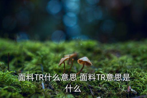  面料TR什么意思 面料TR意思是什么