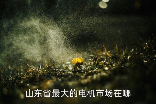 山東省最大的電機(jī)市場(chǎng)在哪