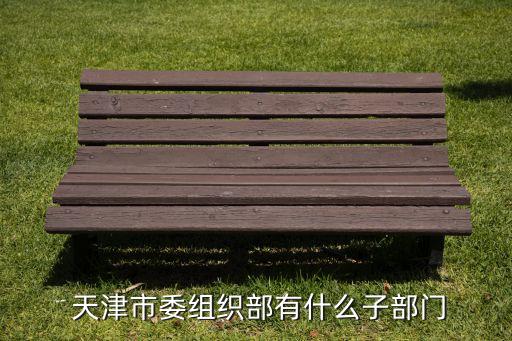  天津市委組織部有什么子部門