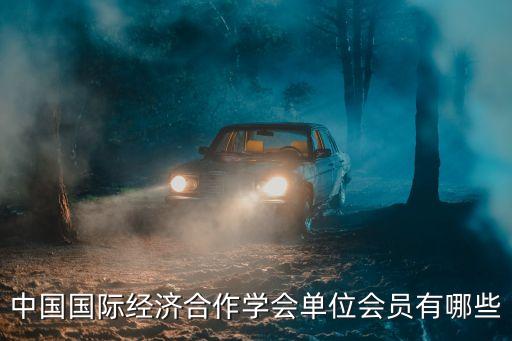 中國國際經(jīng)濟合作學會單位會員有哪些