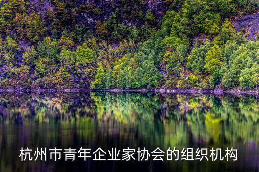 杭州市青年企業(yè)家協(xié)會(huì)的組織機(jī)構(gòu)