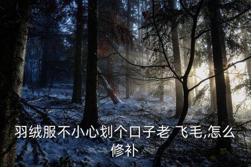 羽絨服不小心劃個(gè)口子老 飛毛,怎么修補(bǔ)