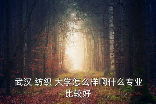  武漢 紡織 大學(xué)怎么樣啊什么專業(yè)比較好