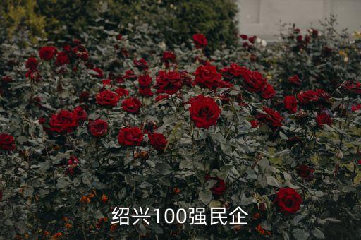 紹興100強(qiáng)民企