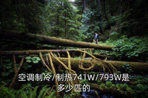 空調(diào)制冷/制熱741W/793W是多少匹的