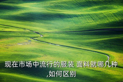 現(xiàn)在市場(chǎng)中流行的服裝 面料就哪幾種,如何區(qū)別