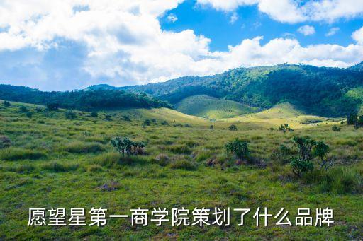 愿望星第一商學(xué)院策劃了什么品牌