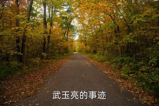 武玉亮的事跡