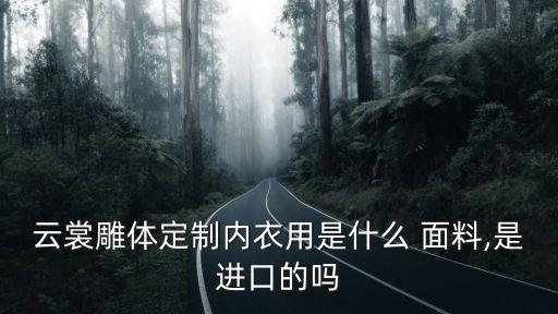 云裳雕體定制內(nèi)衣用是什么 面料,是進(jìn)口的嗎