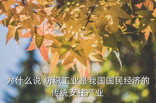 為什么說(shuō) 紡織工業(yè)是我國(guó)國(guó)民經(jīng)濟(jì)的傳統(tǒng)支柱產(chǎn)業(yè)