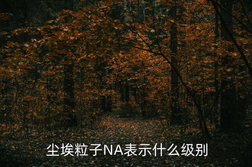  塵埃粒子NA表示什么級別