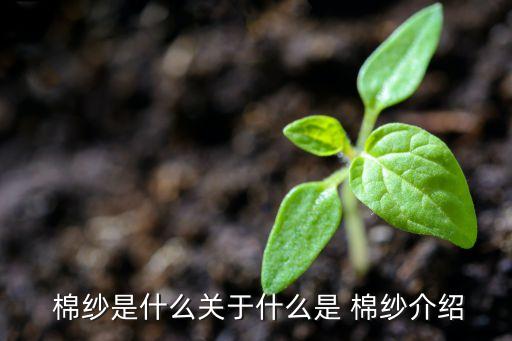  棉紗是什么關(guān)于什么是 棉紗介紹