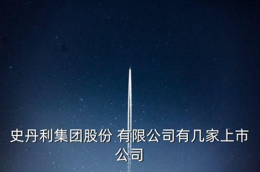 史丹利集團(tuán)股份 有限公司有幾家上市公司
