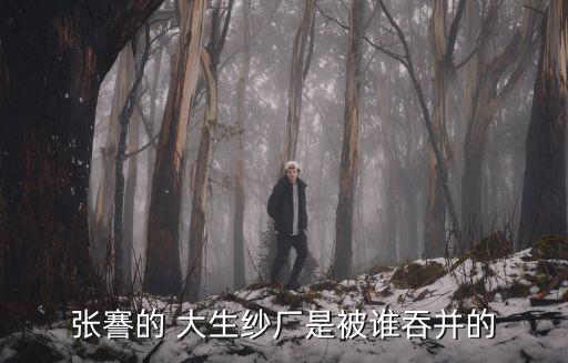 張謇的 大生紗廠是被誰(shuí)吞并的