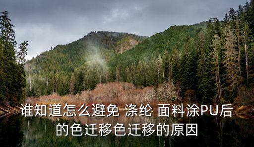 滌綸面料 分散染料染色,滌綸為什么常常選用分散染料進(jìn)行染色