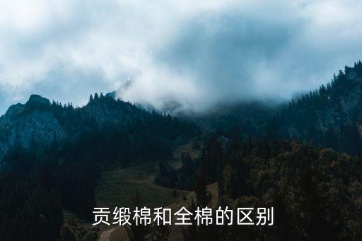  貢緞棉和全棉的區(qū)別