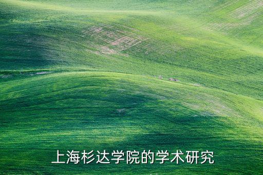  上海杉達學(xué)院的學(xué)術(shù)研究