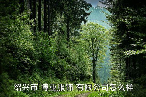  紹興市 博亞服飾 有限公司怎么樣
