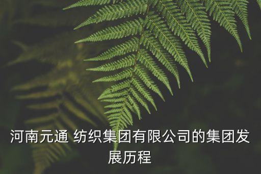 河南元通 紡織集團有限公司的集團發(fā)展歷程