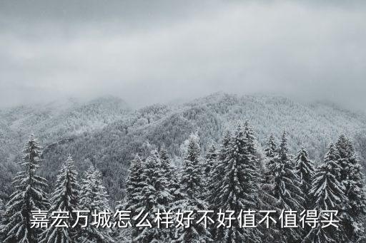 東莞市嘉宏紡織助劑有限公司