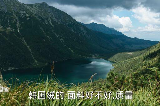  韓國(guó)絨的 面料好不好,質(zhì)量