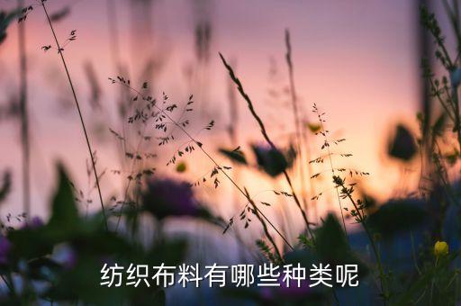毛晴面料