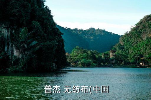  普杰 無(wú)紡布(中國(guó)