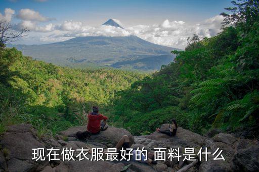 現(xiàn)在做衣服最好的 面料是什么