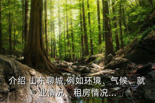 介紹 山東聊城,例如環(huán)境、氣候、就業(yè)情況、租房情況...