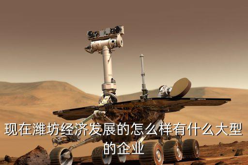 現(xiàn)在濰坊經濟發(fā)展的怎么樣有什么大型的企業(yè)