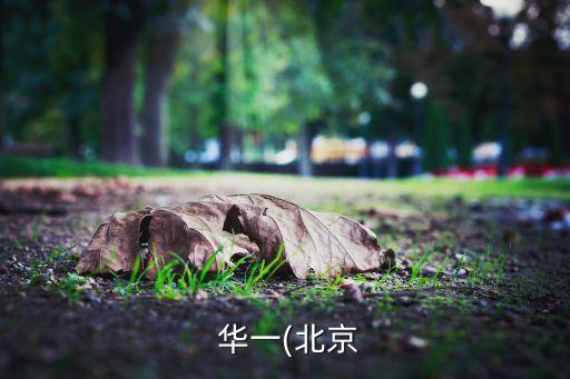  華一(北京