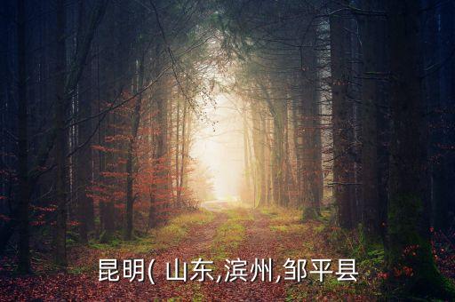 昆明( 山東,濱州,鄒平縣