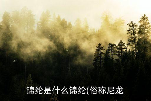 錦綸是什么錦綸(俗稱(chēng)尼龍