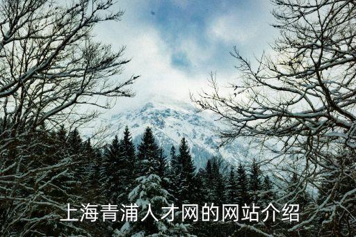  上海青浦人才網(wǎng)的網(wǎng)站介紹