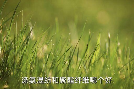 滌氨運(yùn)動(dòng)面料,滌氨面料的衣服好不好