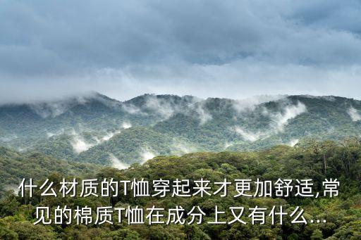 什么材質(zhì)的T恤穿起來才更加舒適,常見的棉質(zhì)T恤在成分上又有什么...