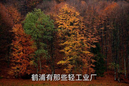 鶴浦有那些輕工業(yè)廠
