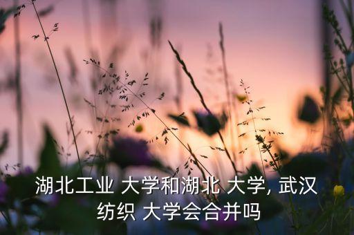 湖北工業(yè) 大學和湖北 大學, 武漢 紡織 大學會合并嗎