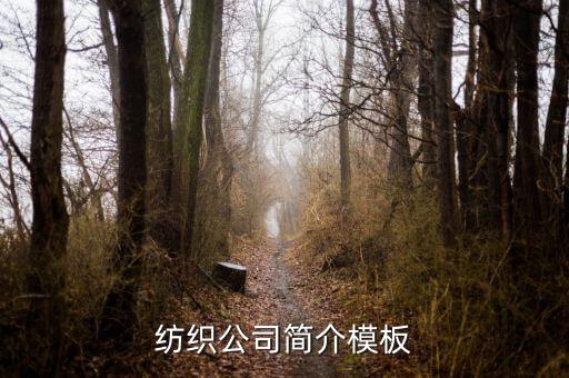 紡織公司簡(jiǎn)介模板