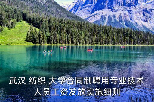 武漢 紡織 大學合同制聘用專業(yè)技術人員工資發(fā)放實施細則