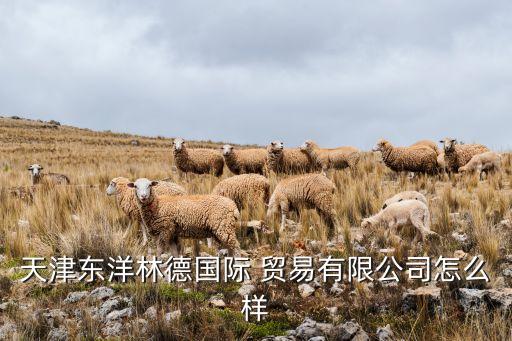 天津東洋林德國(guó)際 貿(mào)易有限公司怎么樣