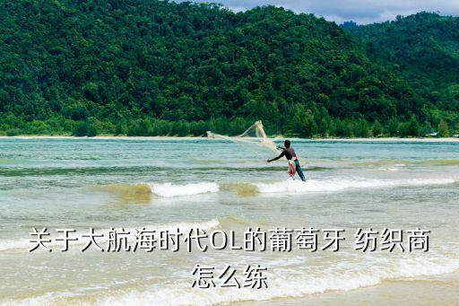 關(guān)于大航海時(shí)代OL的葡萄牙 紡織商怎么練