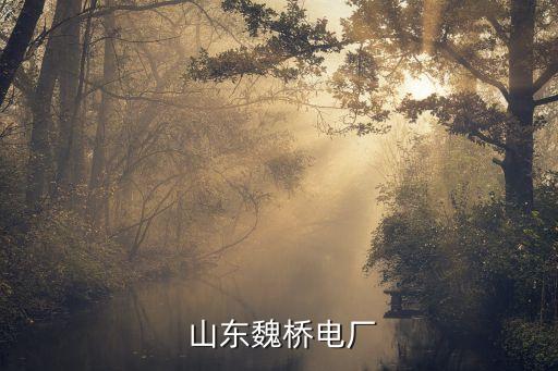 山東 紡織股份有限公司,山東紡織企業(yè)排名