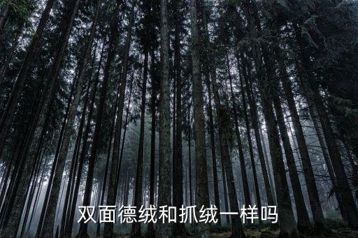 雙面德絨和抓絨一樣嗎