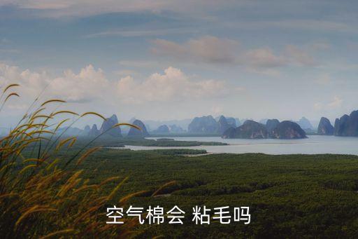 滌綸面料粘毛嗎,滌綸是不是最差的面料
